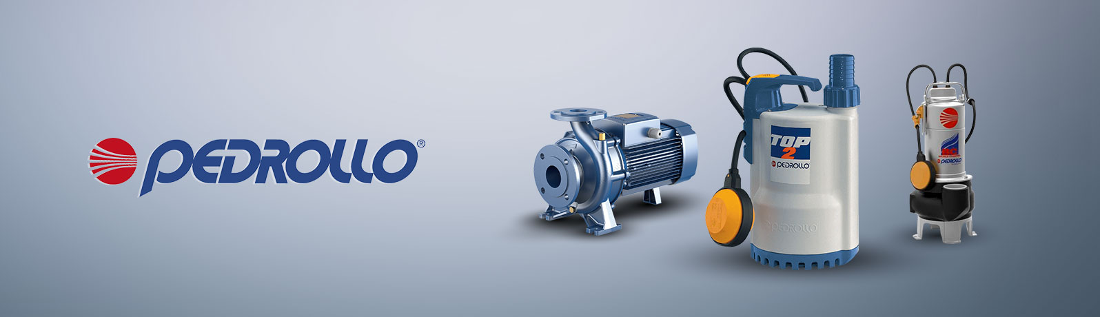 Pedrollo Catalog: Heavy Duty Depot