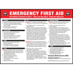 Safety Poster, "Emergency First Aid", 17" x 22"_noscript