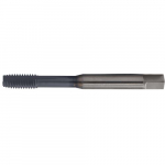.1378" 6H HL Metric Spiral Point Tap Stainless Steel_noscript