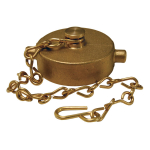 2-1/2" Domestic Cast Brass Pin Lug Cap NST (NH)_noscript