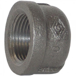 NPT Threaded Cap (Pipe and Welding Fitting)_noscript