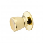 Polished Brass Tulip Dummy Knob{part}
