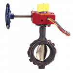 WD-3510-4 8" Butterfly Valve, with Gear Operator_noscript