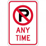 "No Parking Any Time" Sign_noscript