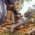Additional image #1 for Worx WG384